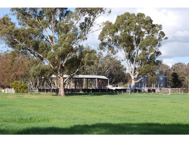 365 Pogues Road, Bunbartha VIC 3634