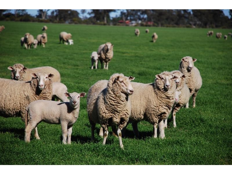 150 Lancaster Road, Yielima VIC 3638