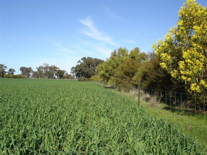 150 Lancaster Road, Yielima VIC 3638