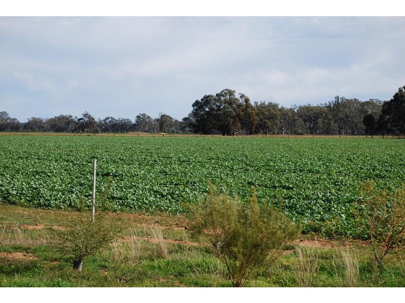 150 Lancaster Road, Yielima VIC 3638