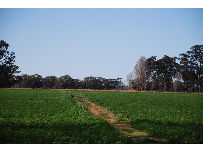 150 Lancaster Road, Yielima VIC 3638