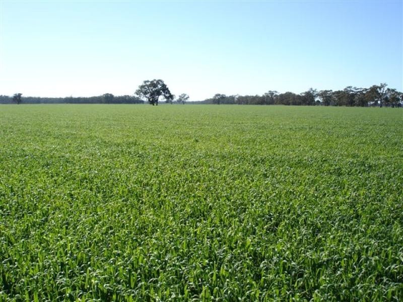 150 Lancaster Road, Yielima VIC 3638