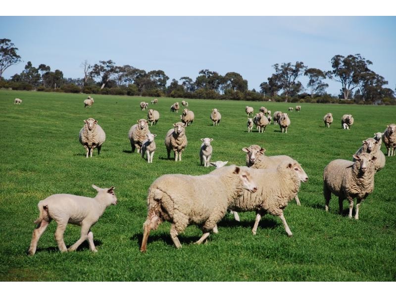 150 Lancaster Road, Yielima VIC 3638