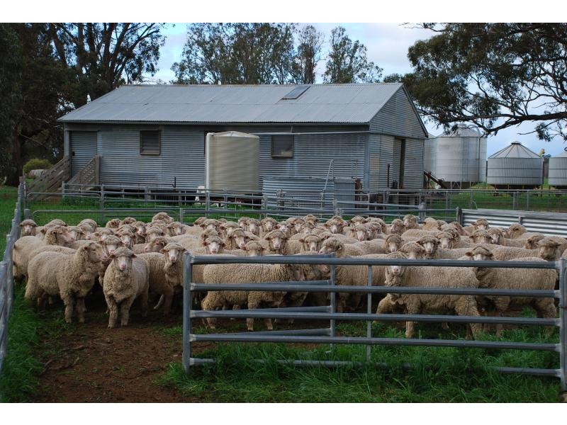 150 Lancaster Road, Yielima VIC 3638