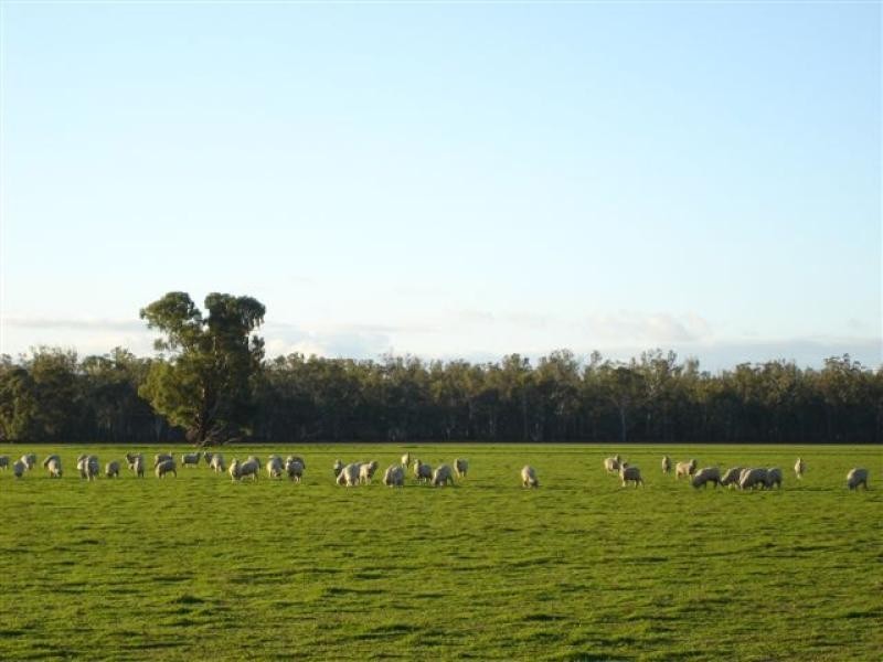 150 Lancaster Road, Yielima VIC 3638