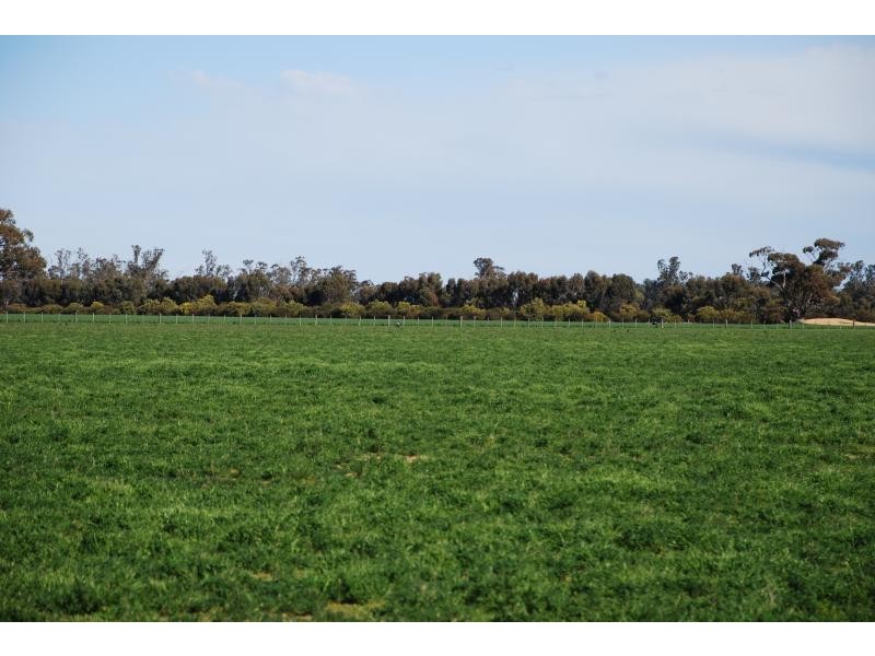 150 Lancaster Road, Yielima VIC 3638