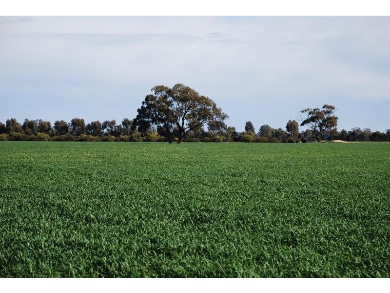 150 Lancaster Road, Yielima VIC 3638