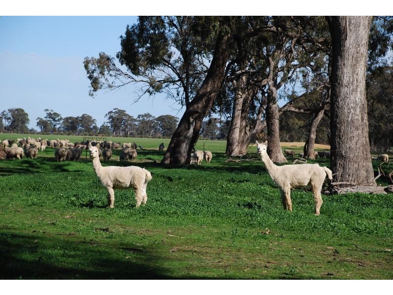 150 Lancaster Road, Yielima VIC 3638