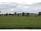 1260 Sidebottoms Road, Pine Lodge VIC 3631
