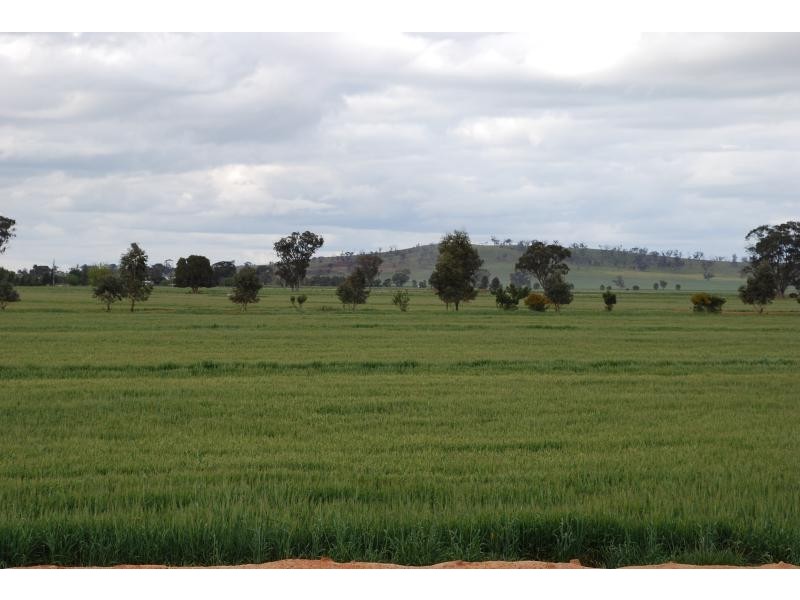 1260 Sidebottoms Road, Pine Lodge VIC 3631