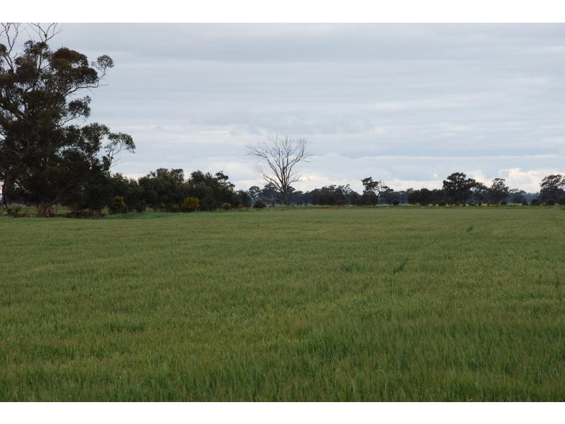 1260 Sidebottoms Road, Pine Lodge VIC 3631