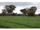 1260 Sidebottoms Road, Pine Lodge VIC 3631
