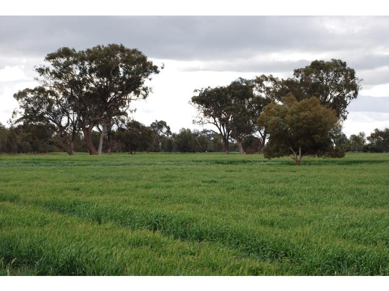 1260 Sidebottoms Road, Pine Lodge VIC 3631