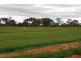 1260 Sidebottoms Road, Pine Lodge VIC 3631