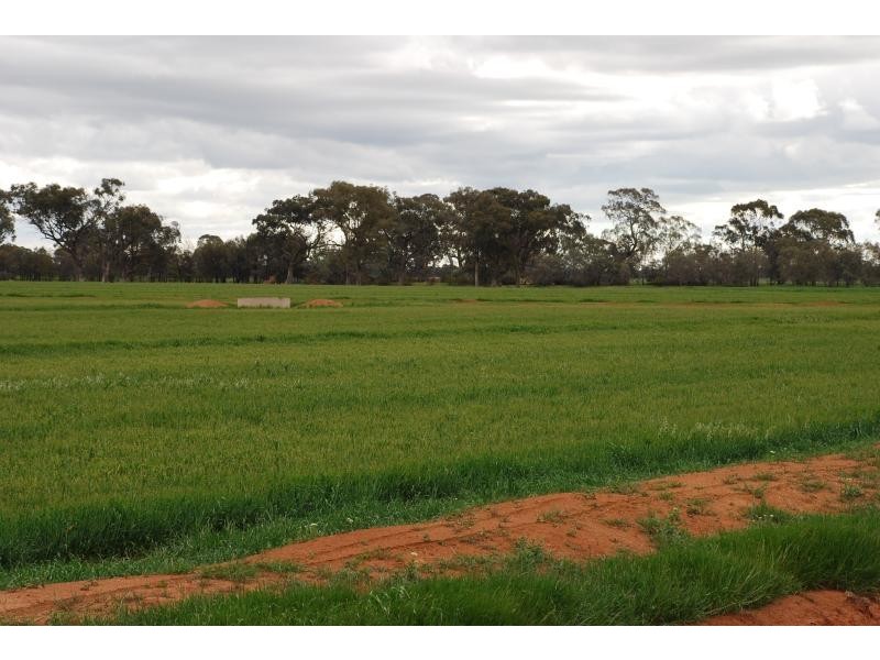 1260 Sidebottoms Road, Pine Lodge VIC 3631