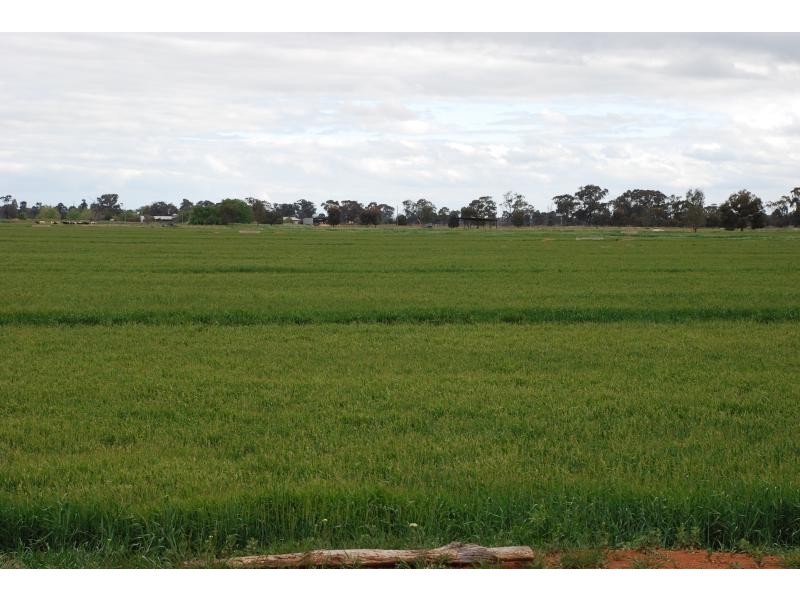 1260 Sidebottoms Road, Pine Lodge VIC 3631