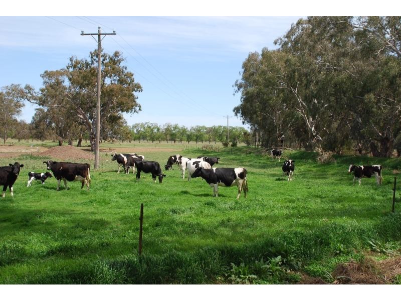 53 Brittain Rd, Numurkah VIC 3636