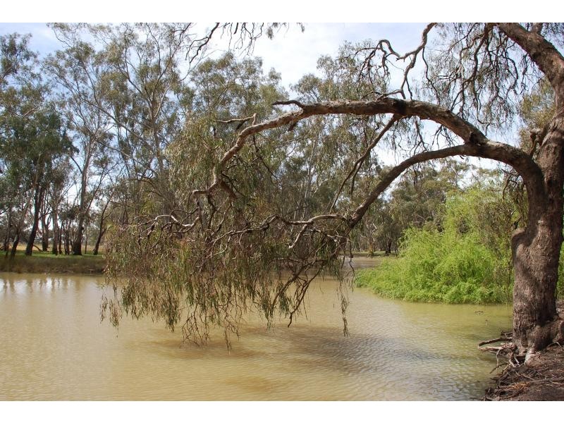 53 Brittain Rd, Numurkah VIC 3636