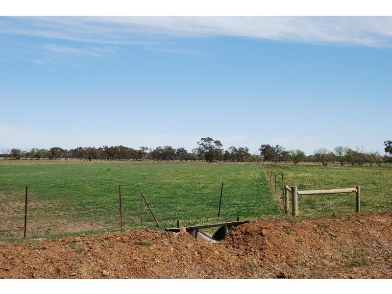 53 Brittain Rd, Numurkah VIC 3636