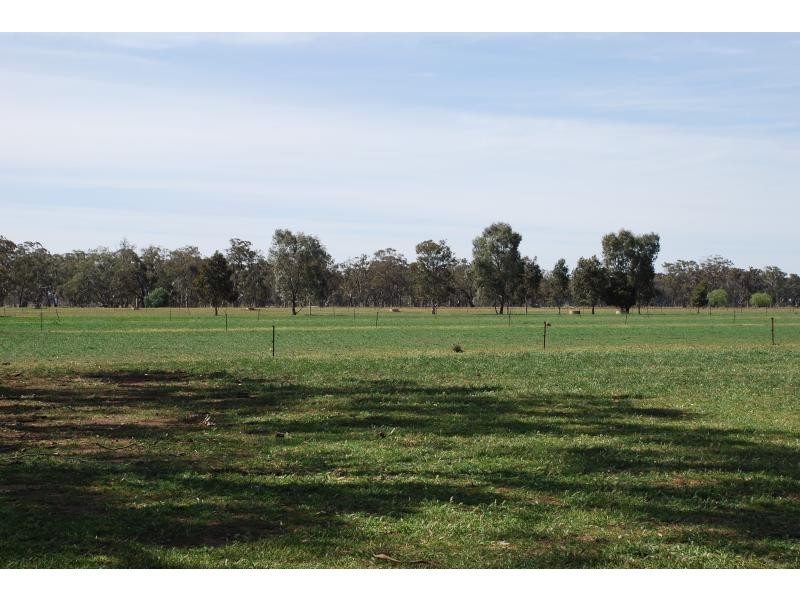 53 Brittain Rd, Numurkah VIC 3636