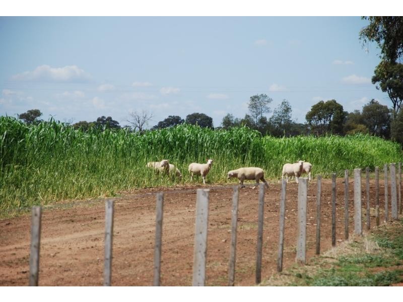Strathmerton VIC 3641