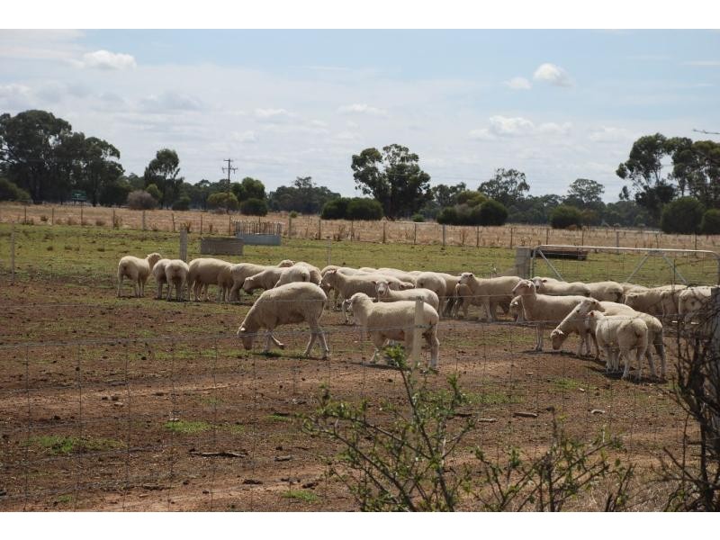 Strathmerton VIC 3641
