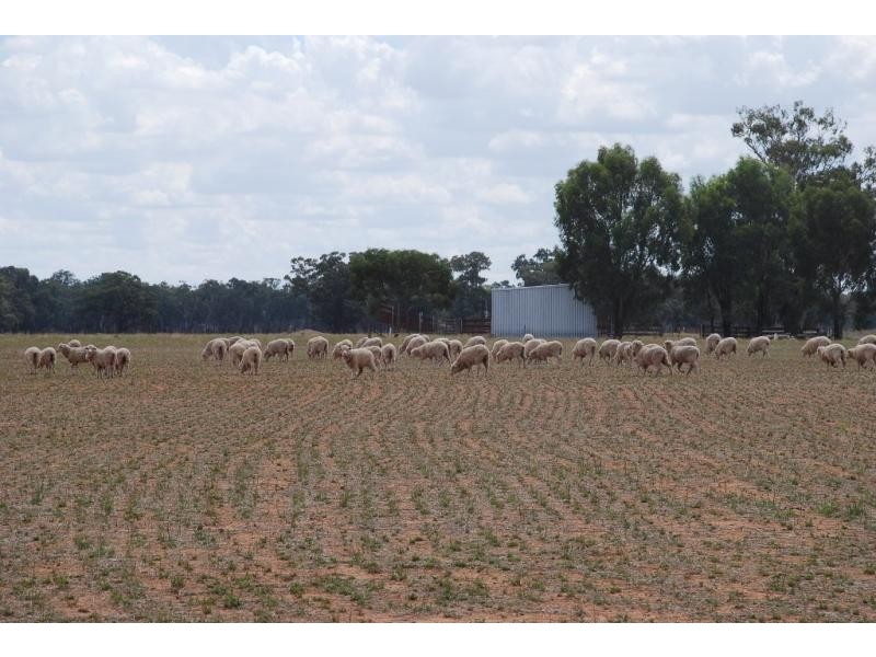 Strathmerton VIC 3641