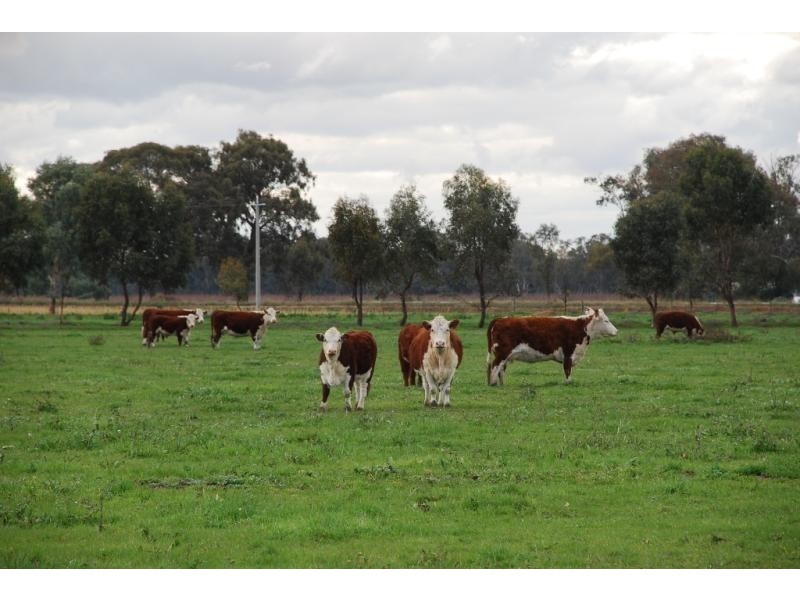 304 Maidment Rd, Koonoomoo VIC 3644