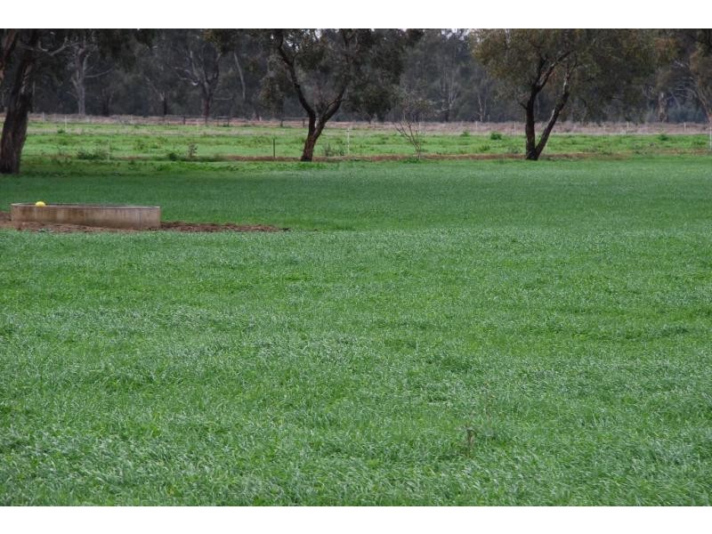 304 Maidment Rd, Koonoomoo VIC 3644