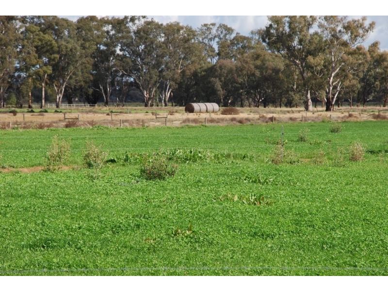 304 Maidment Rd, Koonoomoo VIC 3644