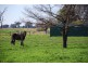 1030 Sidebottom Road, Pine Lodge VIC 3631