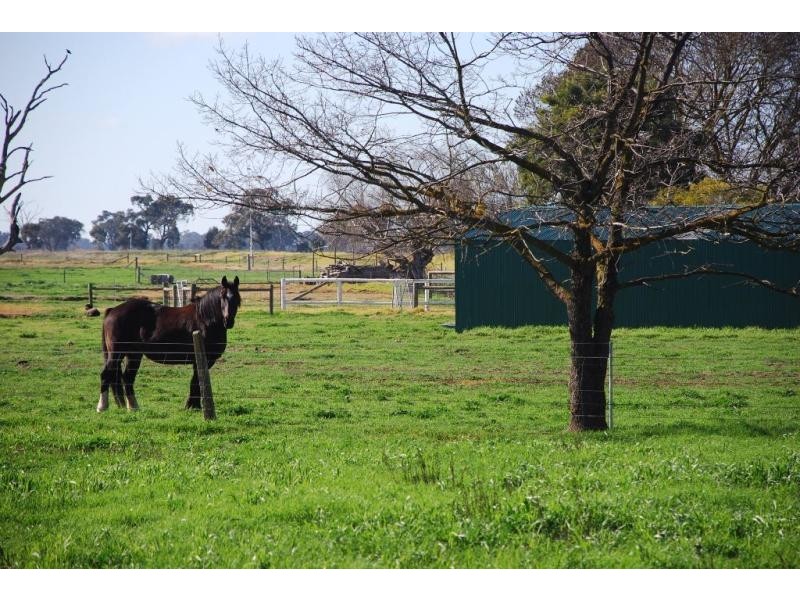 1030 Sidebottom Road, Pine Lodge VIC 3631