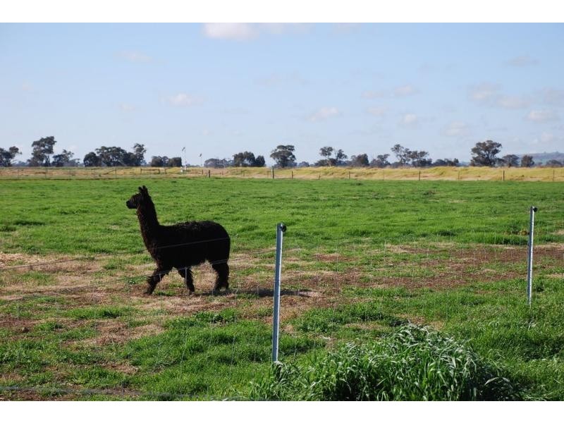 1030 Sidebottom Road, Pine Lodge VIC 3631