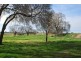 1030 Sidebottom Road, Pine Lodge VIC 3631