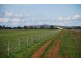 1030 Sidebottom Road, Pine Lodge VIC 3631