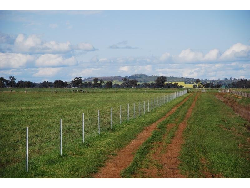 1030 Sidebottom Road, Pine Lodge VIC 3631
