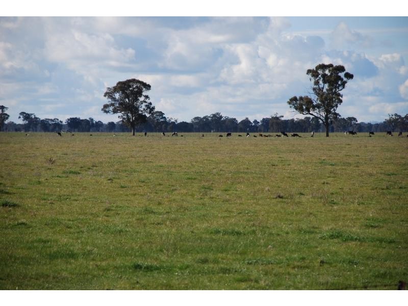 Arcadia VIC 3631