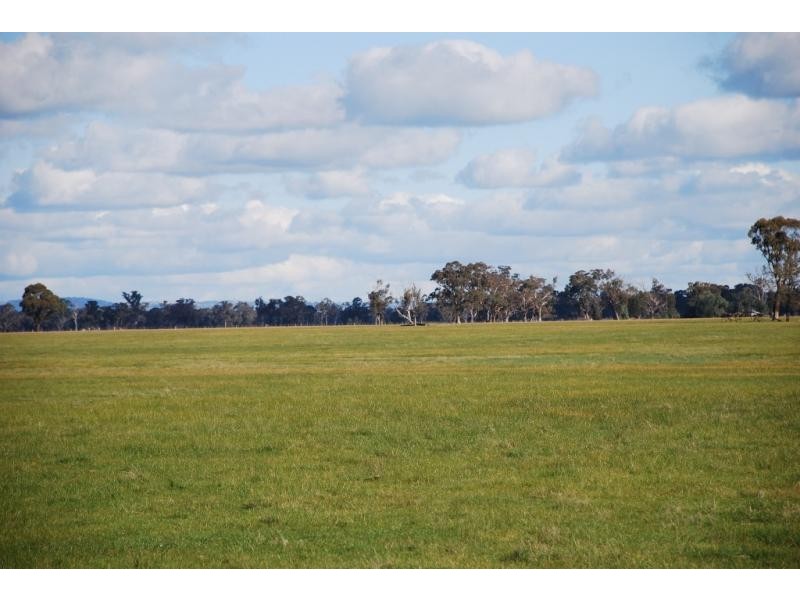 Arcadia VIC 3631