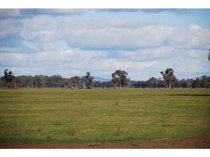 Arcadia VIC 3631