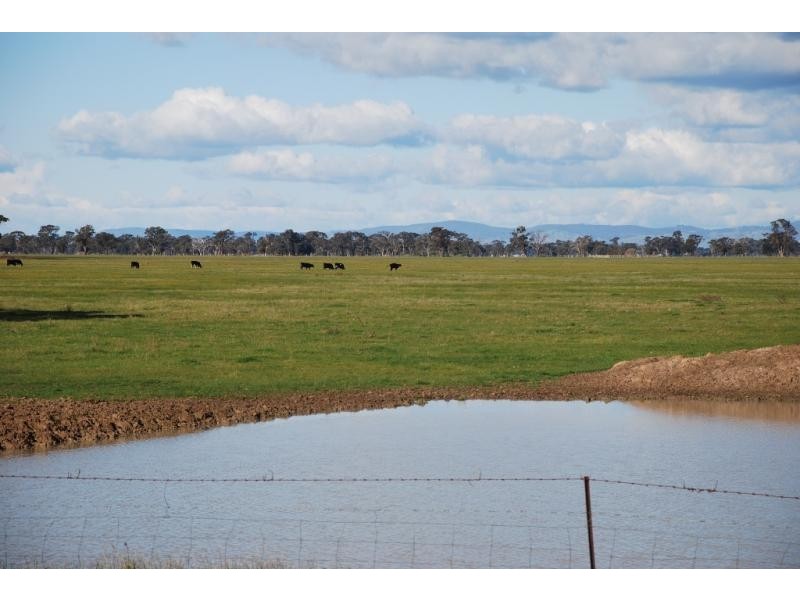 Arcadia VIC 3631