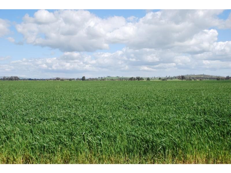 160 Ford Road, and adjoining,1155 Cosgrove Rd, Katandra VIC 3634