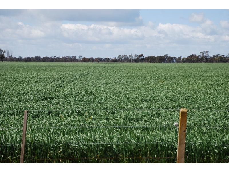 160 Ford Road, and adjoining,1155 Cosgrove Rd, Katandra VIC 3634