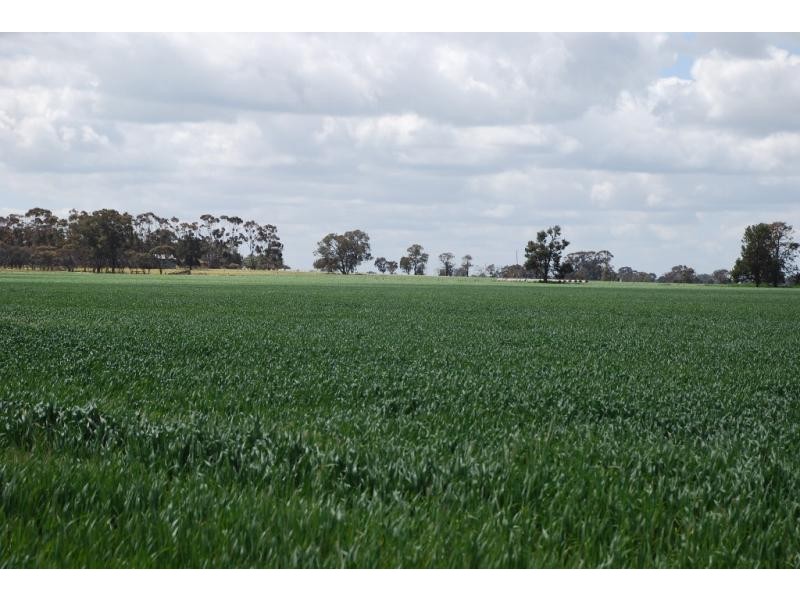 160 Ford Road, and adjoining,1155 Cosgrove Rd, Katandra VIC 3634