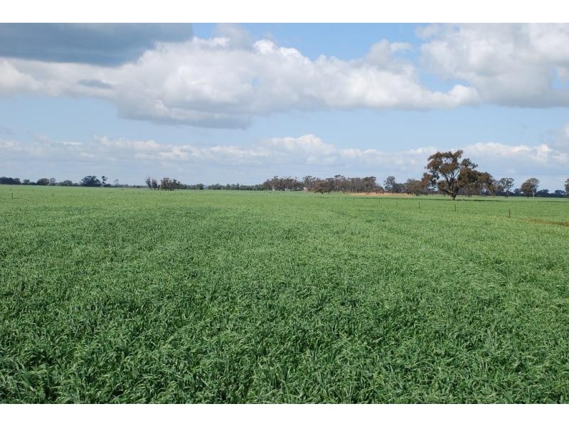 160 Ford Road, and adjoining,1155 Cosgrove Rd, Katandra VIC 3634