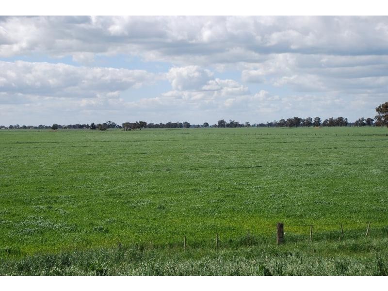 160 Ford Road, and adjoining,1155 Cosgrove Rd, Katandra VIC 3634