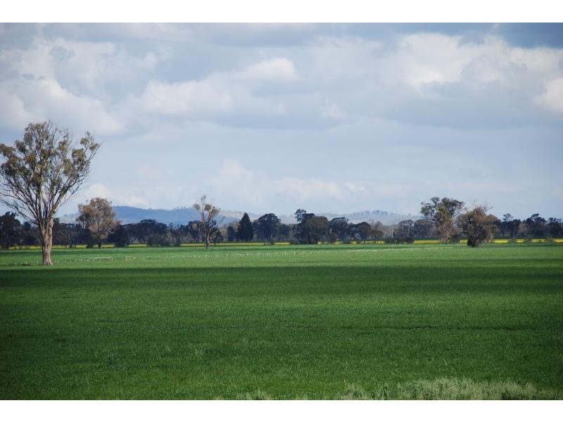 160 Ford Road, and adjoining,1155 Cosgrove Rd, Katandra VIC 3634