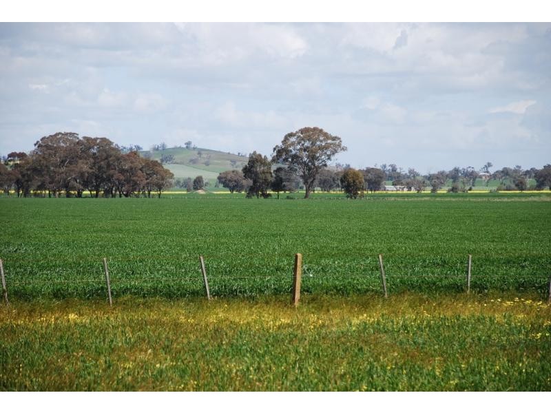 160 Ford Road, and adjoining,1155 Cosgrove Rd, Katandra VIC 3634