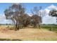 160 Ford Road, and adjoining,1155 Cosgrove Rd, Katandra VIC 3634
