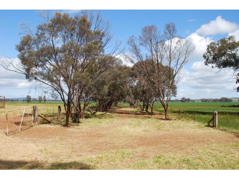 160 Ford Road, and adjoining,1155 Cosgrove Rd, Katandra VIC 3634