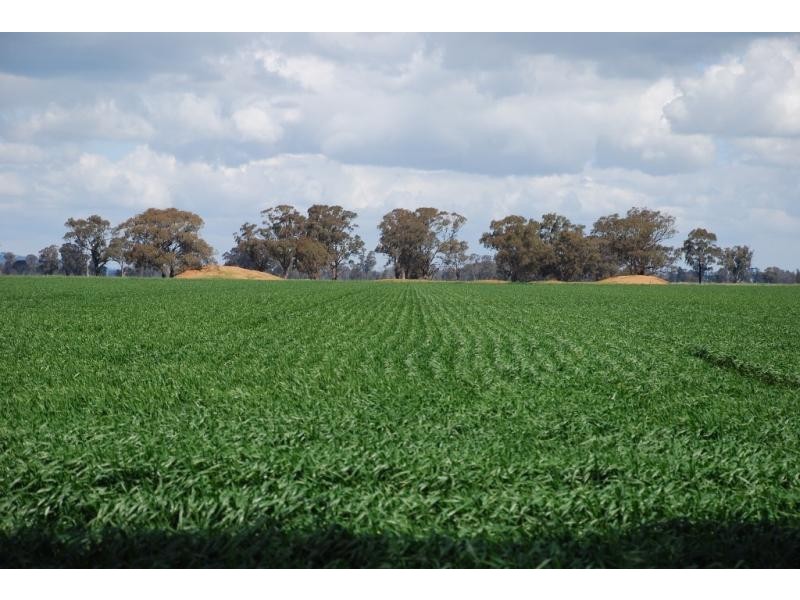 160 Ford Road, and adjoining,1155 Cosgrove Rd, Katandra VIC 3634